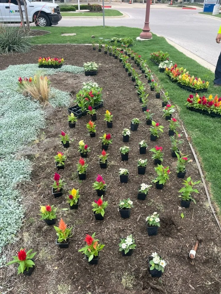 Custom outdoor landscaping experts serving Pflugerville, TX - Merit Landscape Solutions