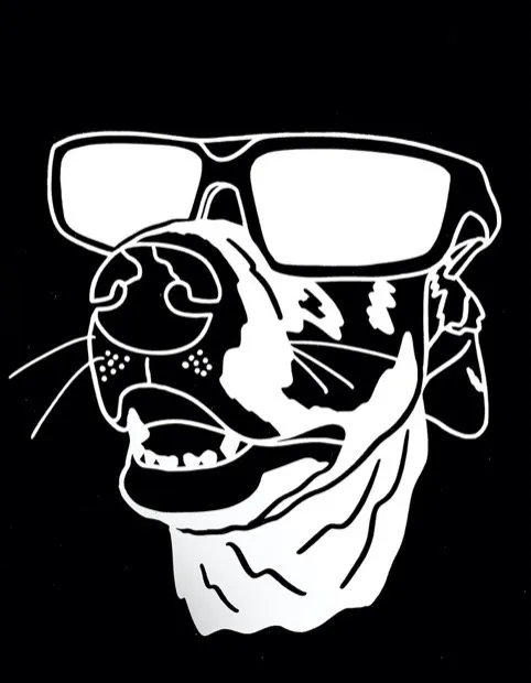 Expert yard maintenance in Windsor, CA - Merle Dog Design