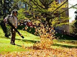 Expert yard cleanup service in New Brunswick, NJ - Merlin Landscaping