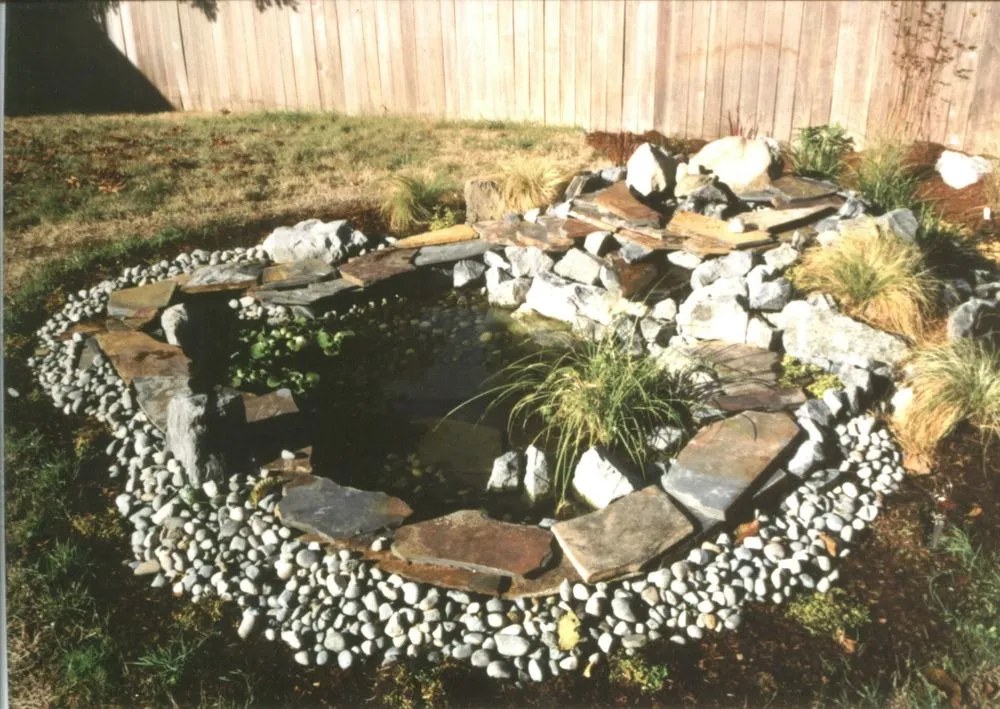 Professional yard cleanup service in Salem, OR by Merlin Landscaping