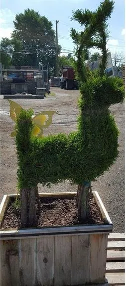 Local lawn mowing service experts serving Westland, MI - Merlino's Bushel Center Nursery & Landscaping