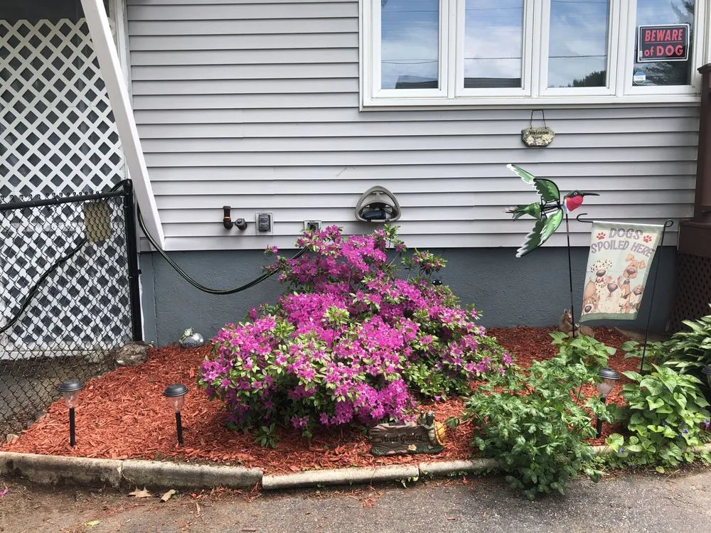 Top-rated garden landscaping for beautiful yards in Manchester, NH by Merlin's Construction & Remodeling
