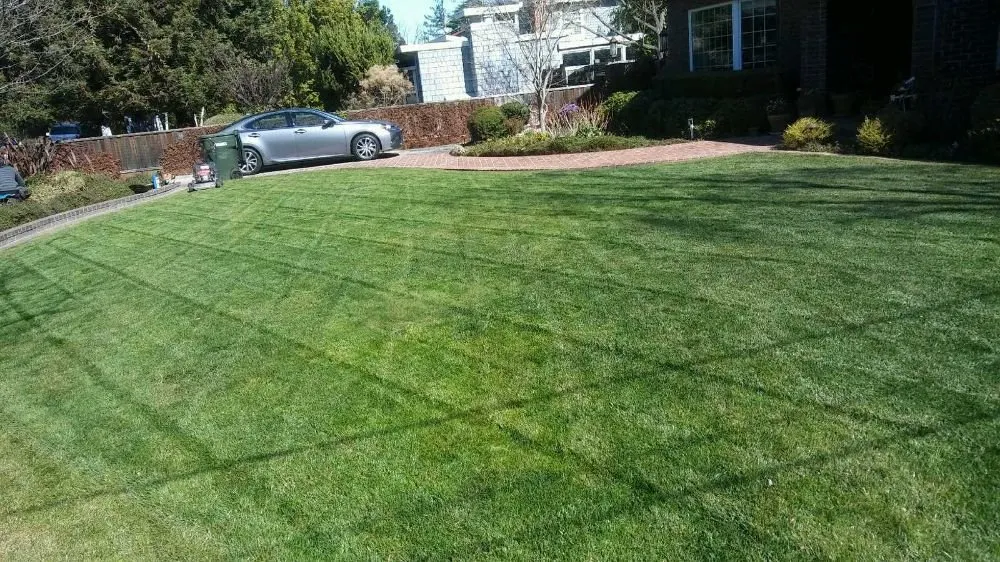 Custom landscape design with custom design in Palo Alto, CA by Merlos Landscaping