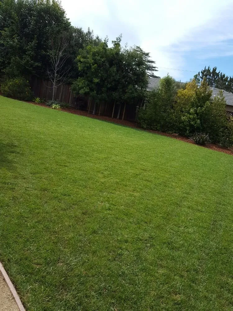 Top-rated residential landscaping for beautiful yards across Palo Alto, CA - Merlos Landscaping