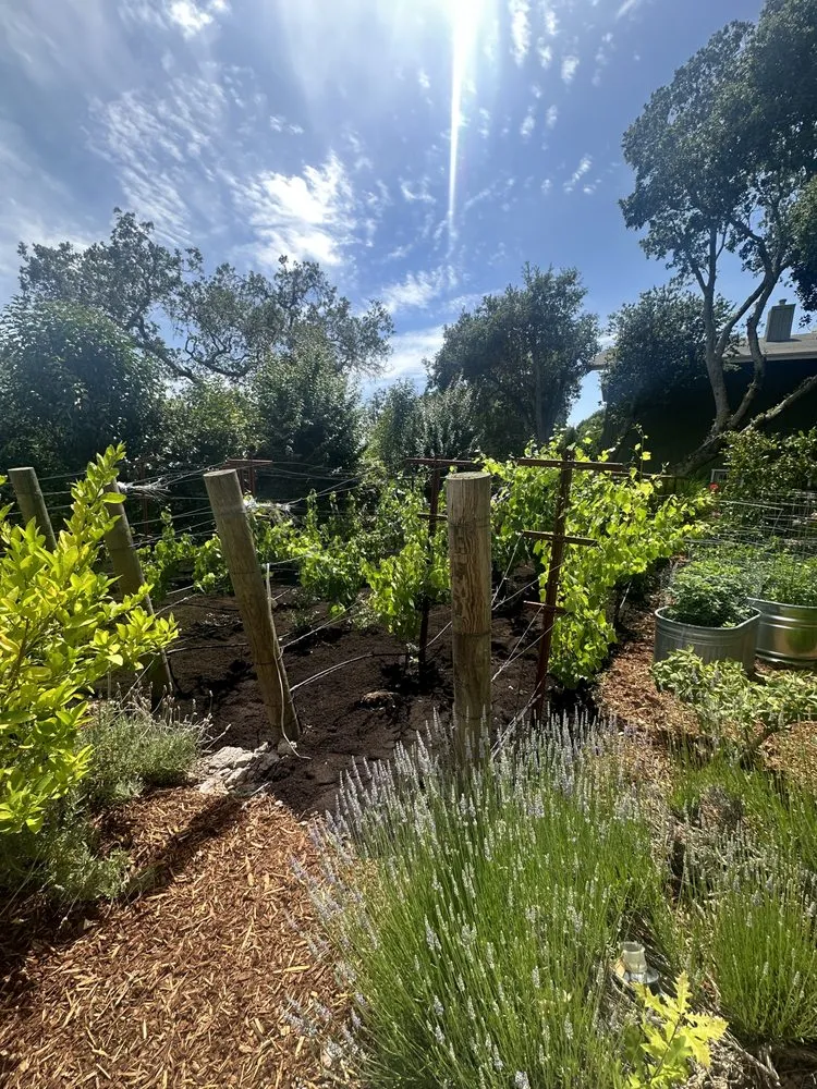 Custom landscaping services near you in Sacramento, CA by Merlot Landscaping