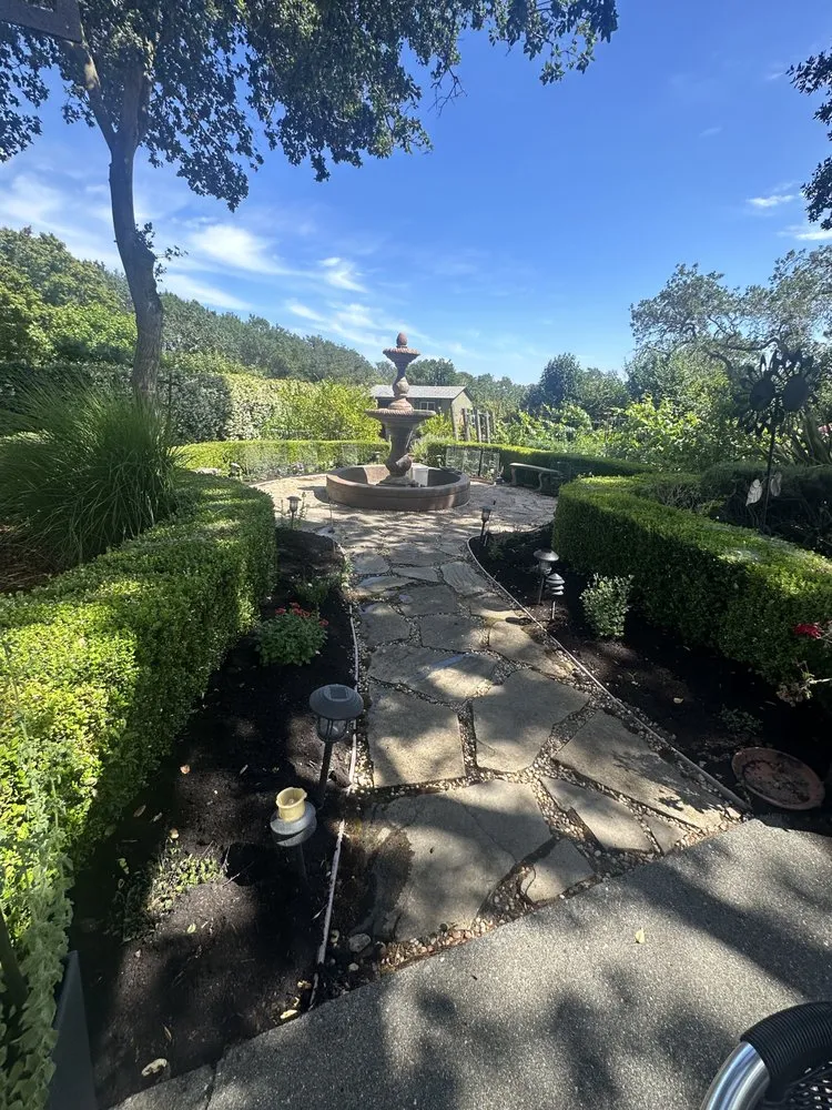 Professional landscape design in Sacramento, CA by Merlot Landscaping