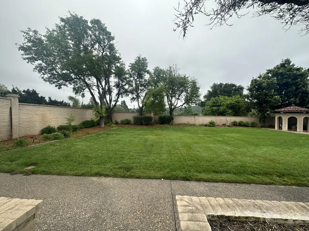 Professional landscape installation for outdoor upgrades in Sacramento, CA by Merlot Landscaping