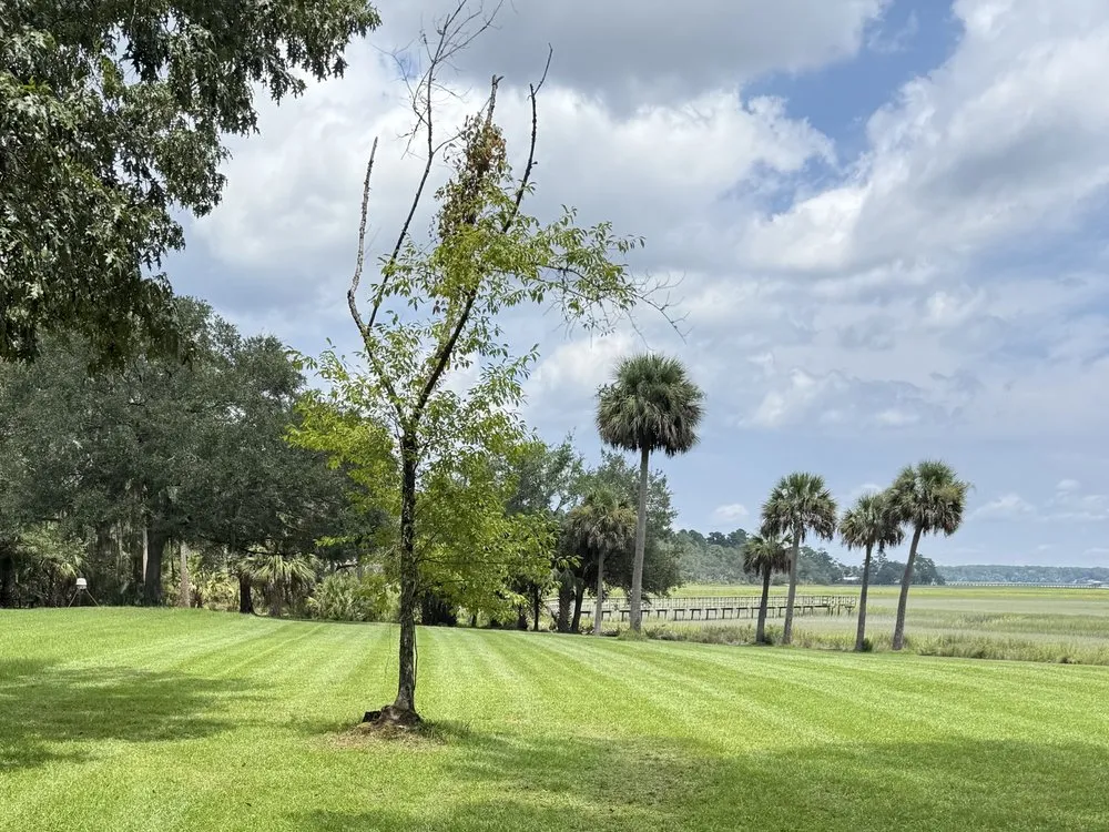 Top-rated yard maintenance for homes across Bluffton, SC - Merrick Services