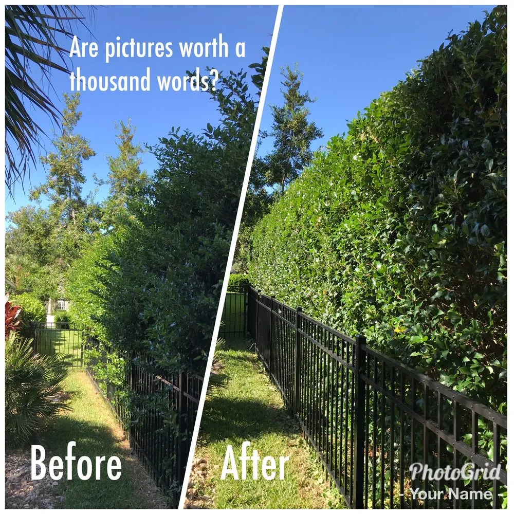 Trusted outdoor landscaping for residential properties across Bluffton, SC - Merrick Services