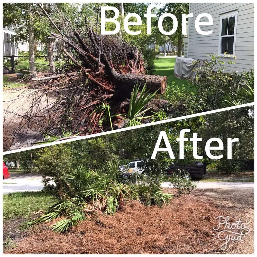 Trusted landscape installation with custom design across Bluffton, SC - Merrick Services