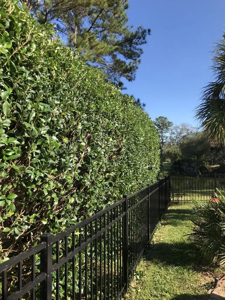 Expert landscaping services in Bluffton, SC - Merrick Services