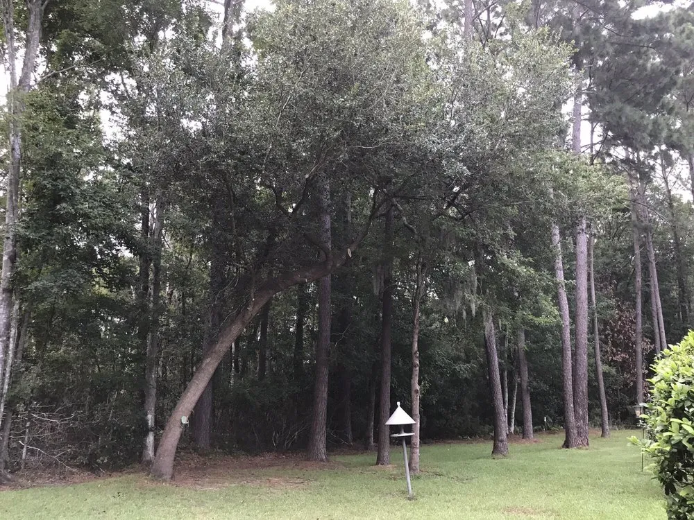 Affordable landscape design near you across Bluffton, SC - Merrick Services