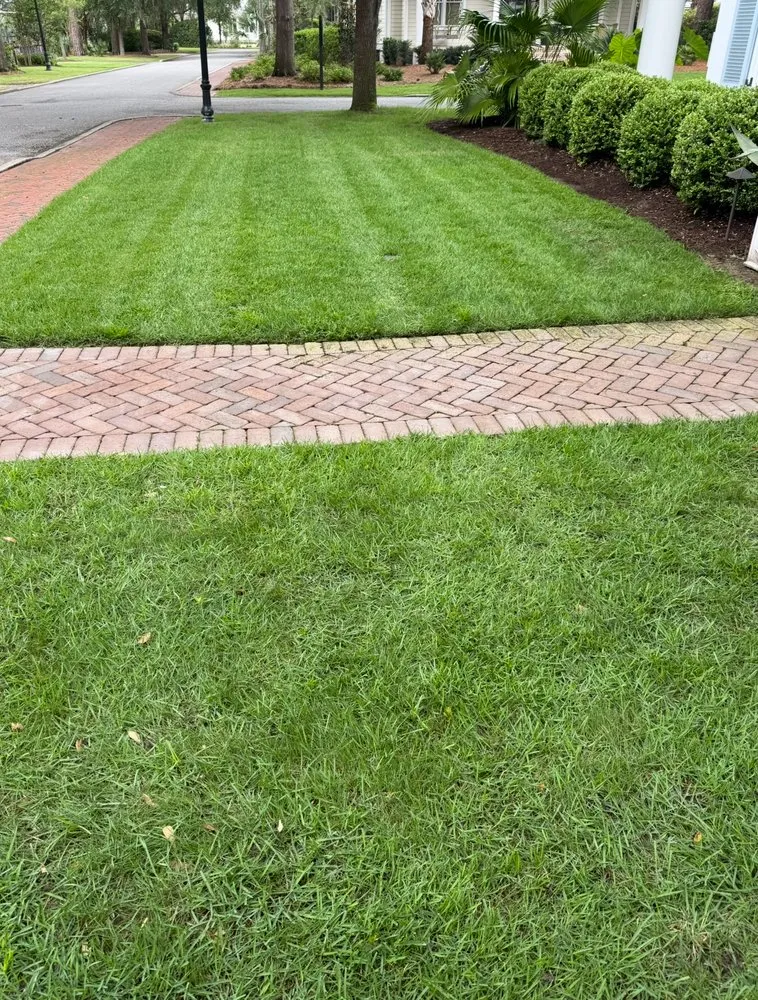 Trusted yard maintenance for homes in Bluffton, SC by Merrick Services