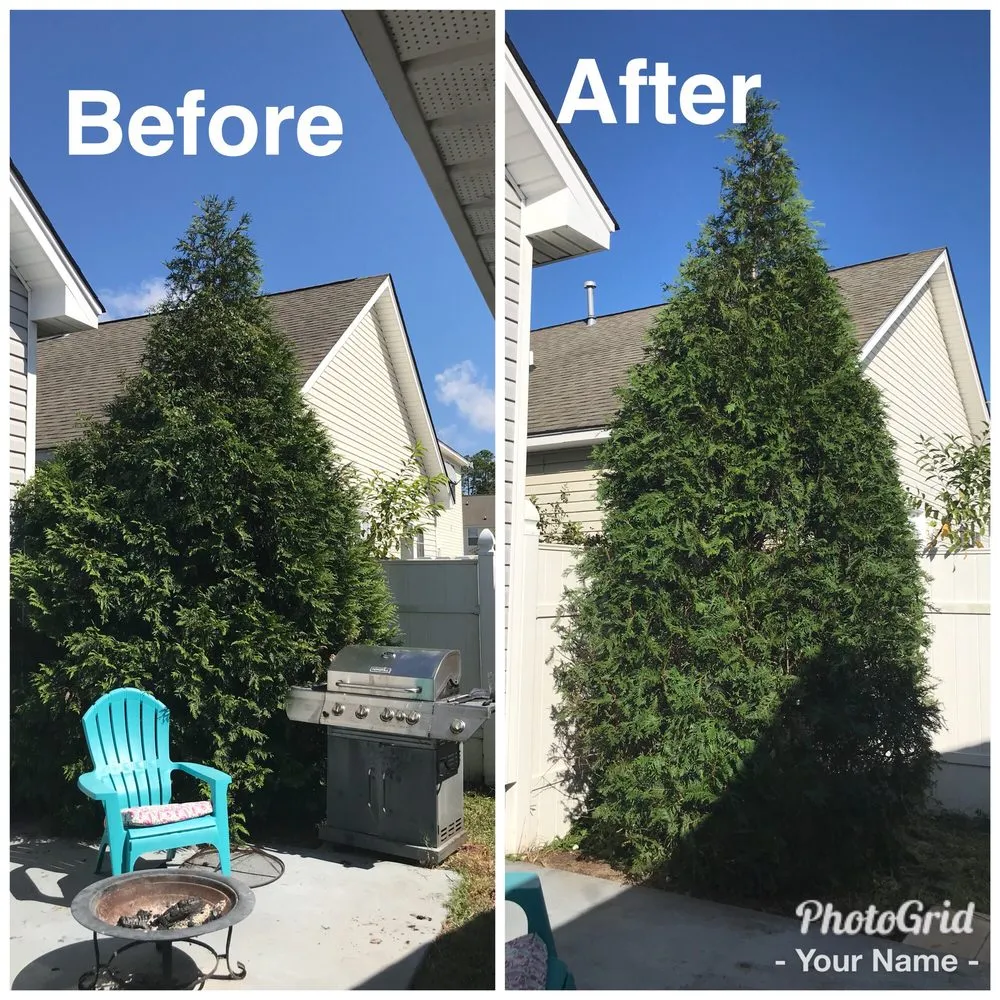 Affordable residential landscaping for homes across Bluffton, SC - Merrick Services