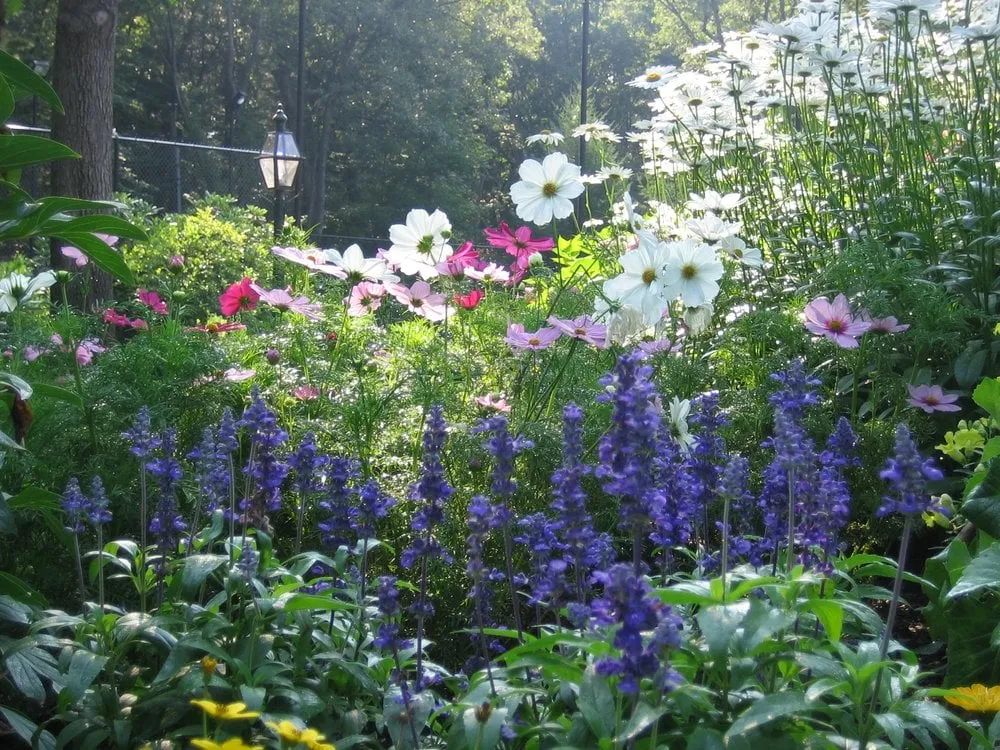 Reliable lawn care service in Wayland, MA - Merrifield Garden & Design