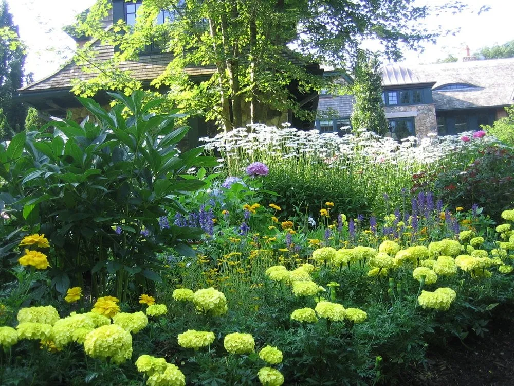 Professional outdoor landscaping experts serving Wayland, MA - Merrifield Garden & Design