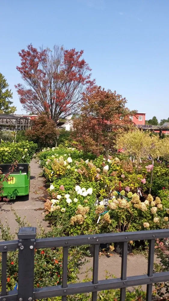 Trusted garden landscaping near you in Merrifield, VA by Merrifield Garden Center