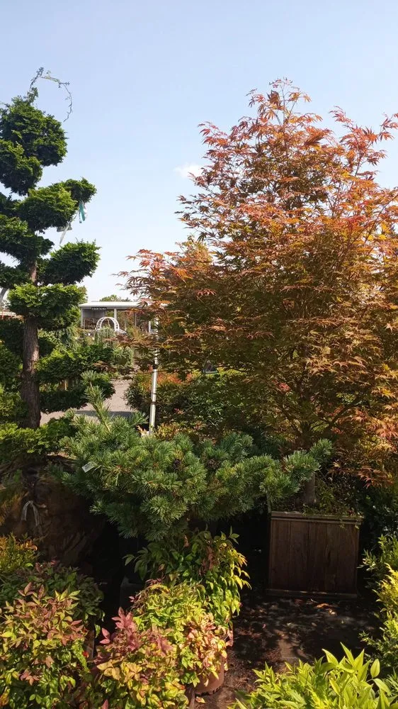 Expert landscape design in Merrifield, VA - Merrifield Garden Center