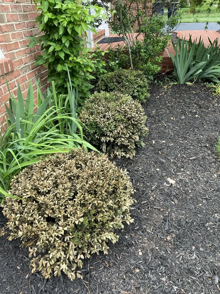 Professional lawn mowing service near you in Merrifield, VA by Merrifield Garden Center