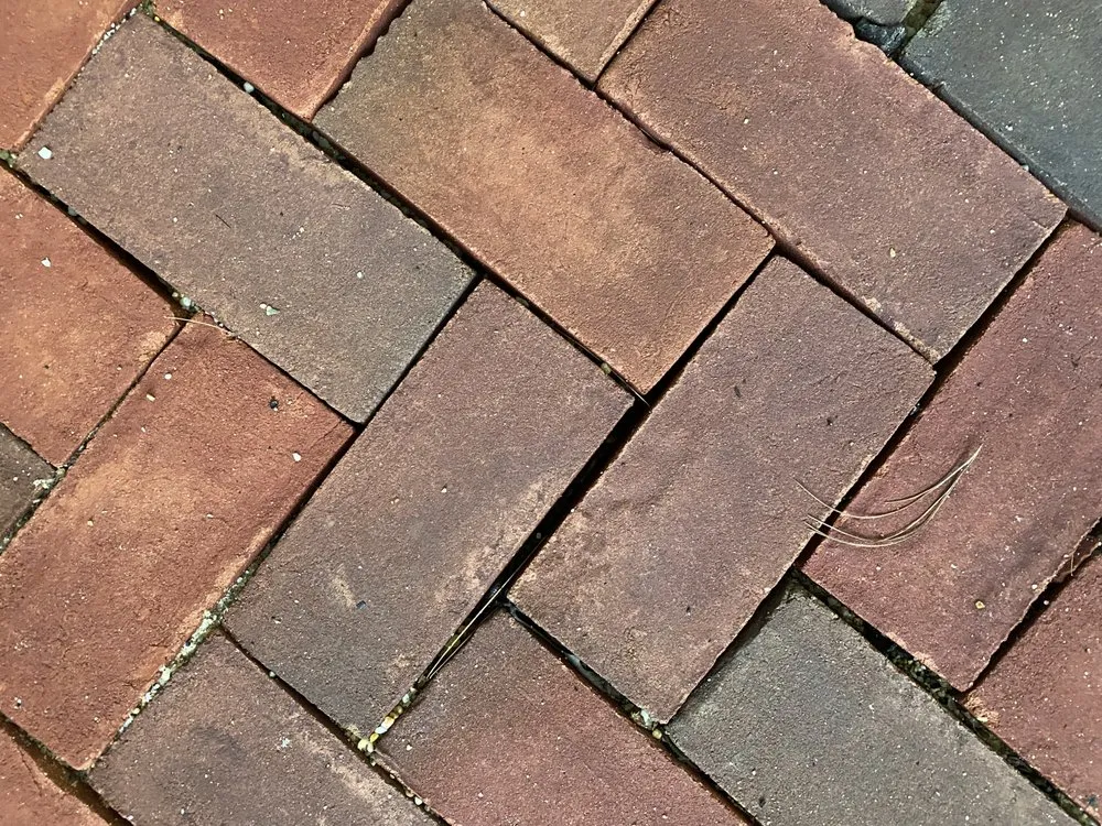 Top-rated lawn care service in Merrifield, VA by Merrifield Garden Center