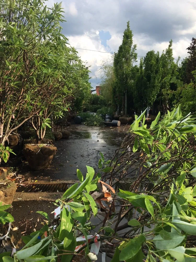 Expert lawn mowing service for year-round maintenance across Merrifield, VA - Merrifield Garden Center