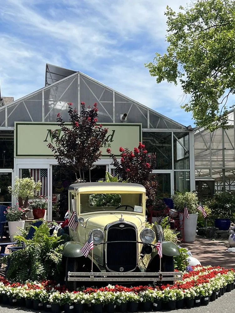 Local yard cleanup service in Merrifield, VA by Merrifield Garden Center