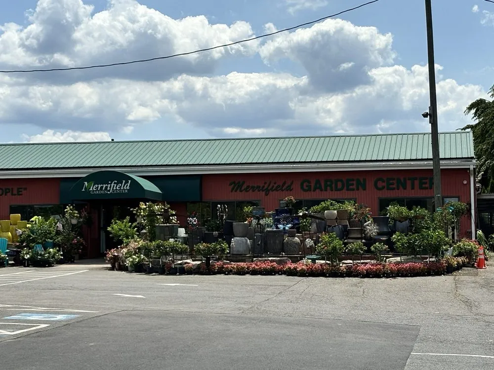 Professional yard cleanup service in Merrifield, VA by Merrifield Garden Center