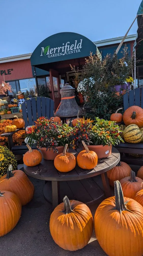 Expert yard maintenance for beautiful yards across Merrifield, VA - Merrifield Garden Center