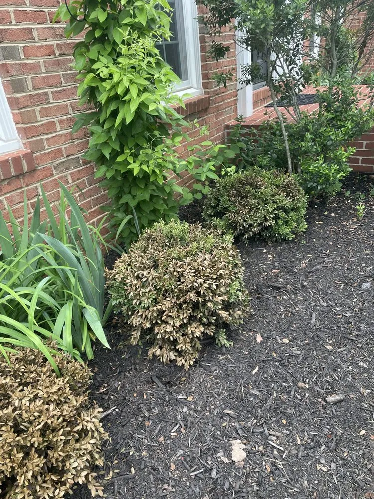 Affordable garden landscaping in Merrifield, VA - Merrifield Garden Center