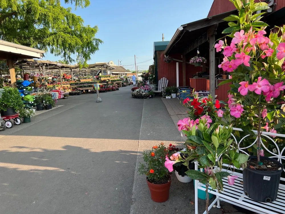 Expert lawn mowing service with custom design across Merrifield, VA - Merrifield Garden Center