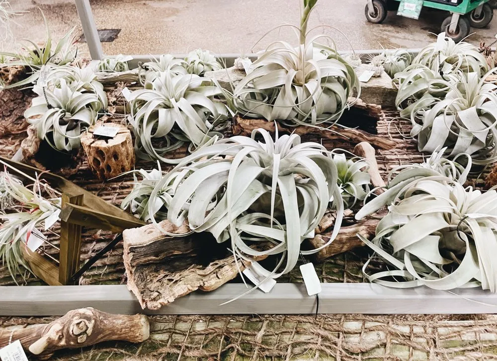 Reliable garden landscaping with custom design across Merrifield, VA - Merrifield Garden Center