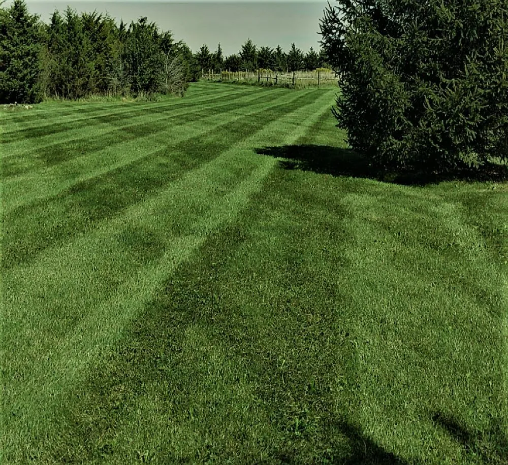 Trusted landscape design for year-round maintenance across Champaign, IL - Merrill Landscape Services