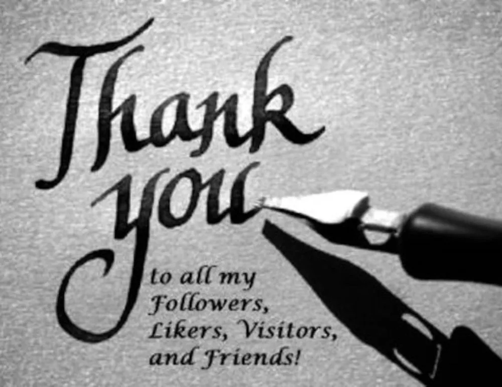 Local yard cleanup service experts serving Jacksonville, FL - Merrill's Handyman & Landscape Design