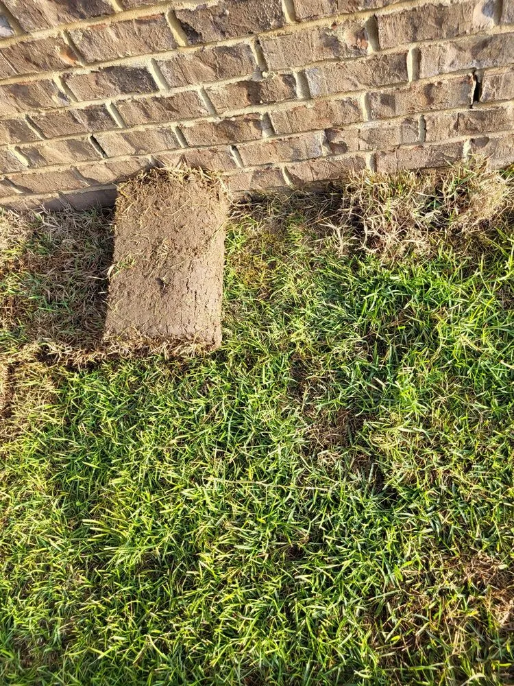 Reliable yard maintenance with custom design in Pensacola, FL by Merritt Landscaping & More