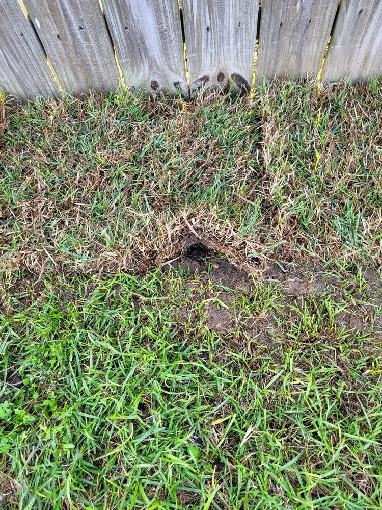 Local yard maintenance in Pensacola, FL - Merritt Landscaping & More