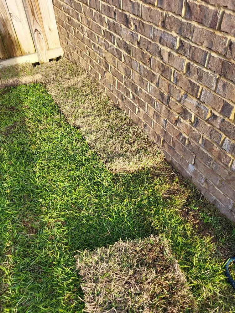 Top-rated landscaping services for year-round maintenance in Pensacola, FL by Merritt Landscaping & More