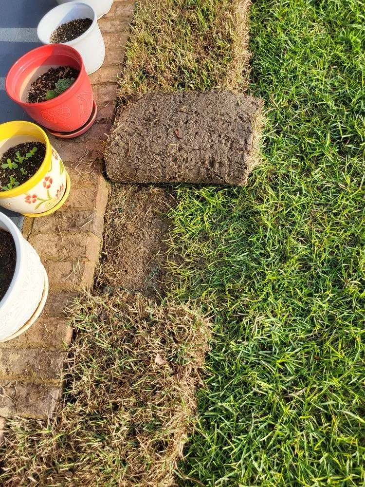 Local yard cleanup service with custom design in Pensacola, FL by Merritt Landscaping & More