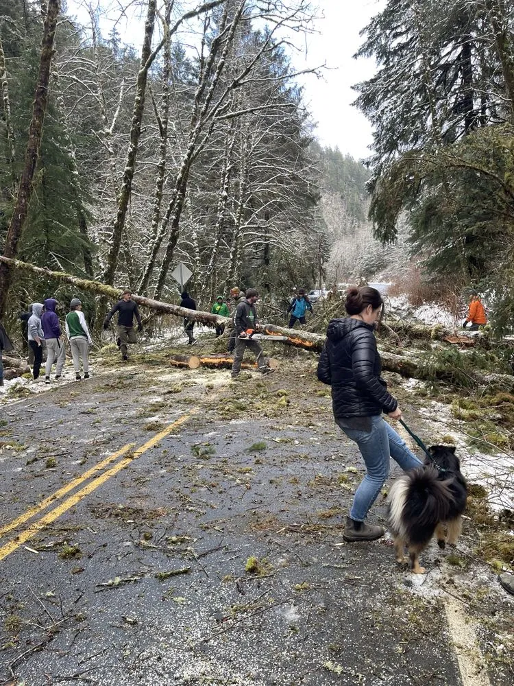 Expert lawn care service experts serving Lincoln City, OR - Merritt Lawncare