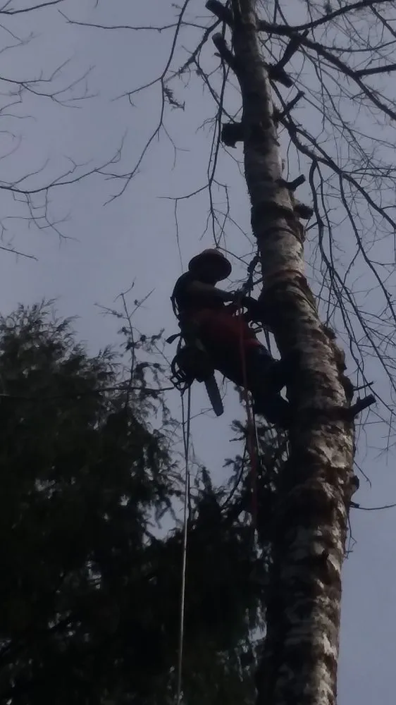 Trusted outdoor landscaping for year-round maintenance in Lincoln City, OR by Merritt Lawncare