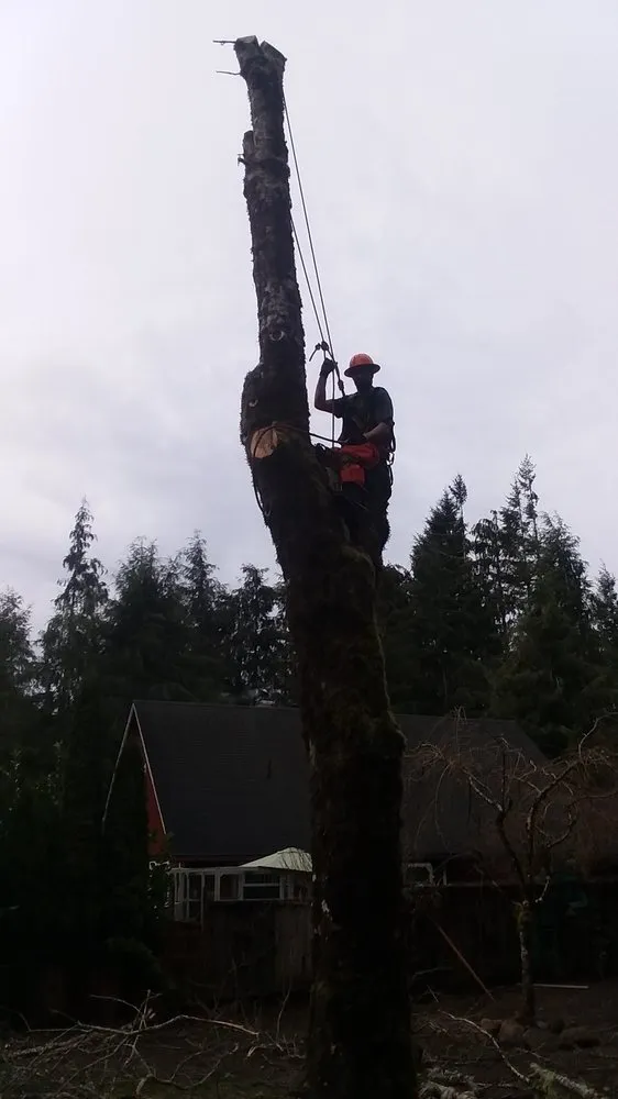 Reliable garden landscaping experts serving Lincoln City, OR - Merritt Lawncare