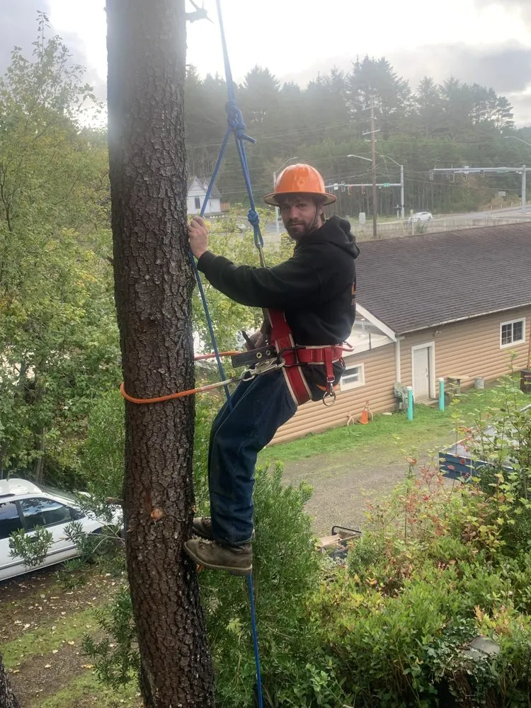 Top-rated yard maintenance experts serving Lincoln City, OR - Merritt Lawncare