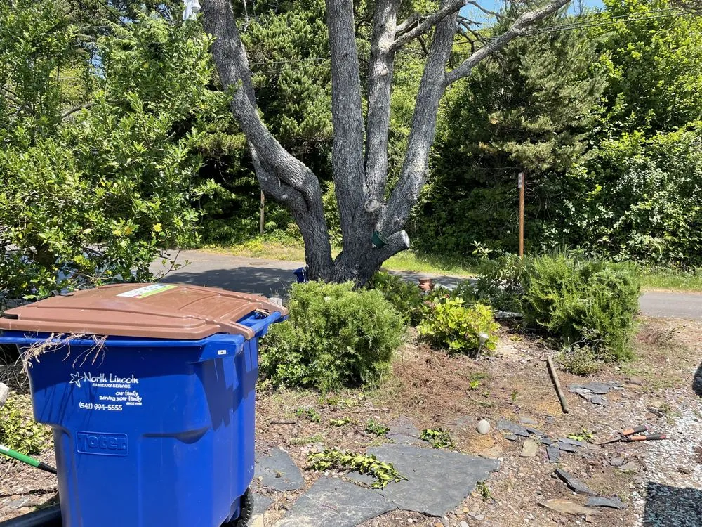 Top-rated yard cleanup service in Lincoln City, OR - Merritt Lawncare