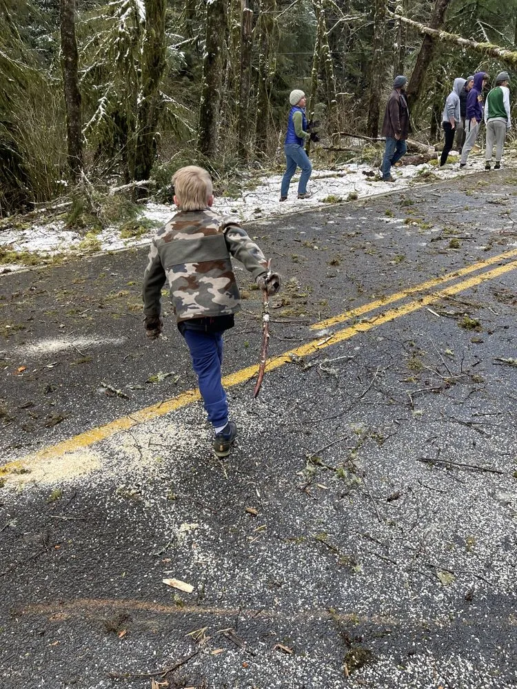 Affordable lawn care service in Lincoln City, OR - Merritt Lawncare