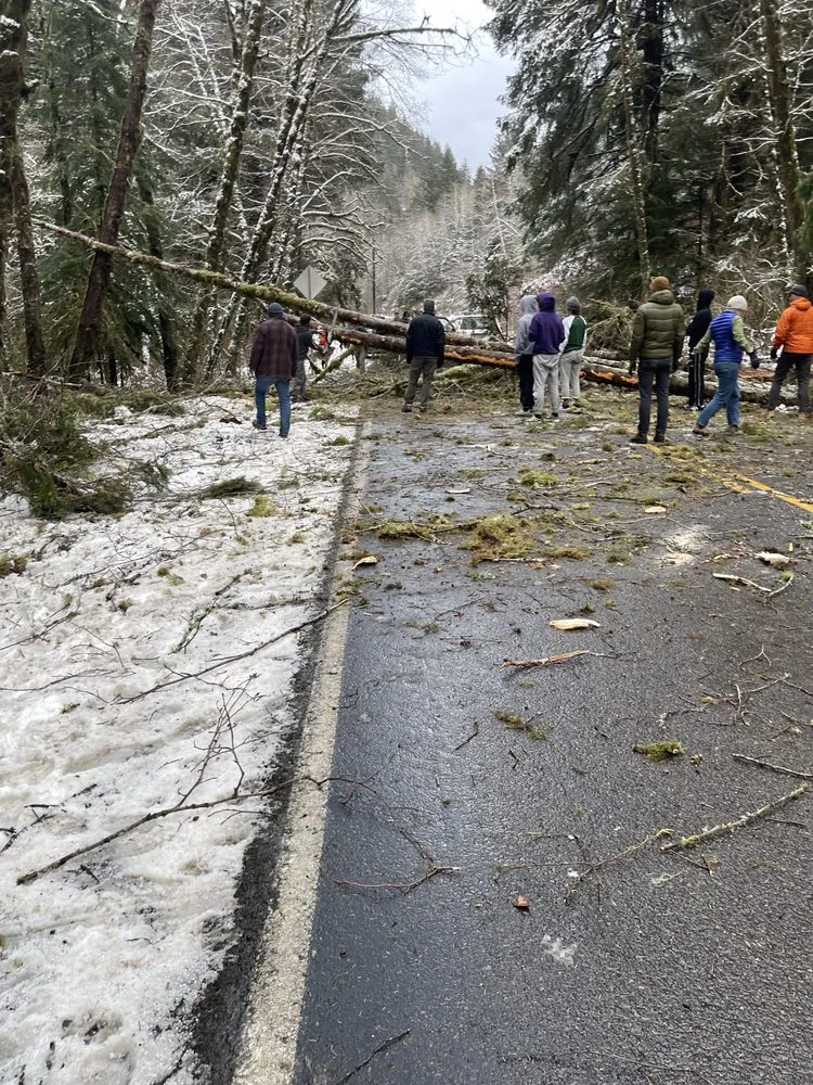 Professional landscape installation in Lincoln City, OR by Merritt Lawncare