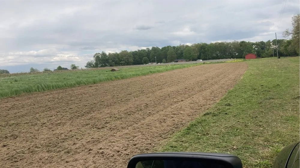 Custom yard maintenance for residential properties in Lebanon, TN by Merryman Land Management