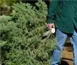 Custom lawn care service for residential properties across Franklin, TN - Merryman's Custom Lawn Care