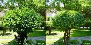 Reliable landscape installation with custom design in Franklin, TN by Merryman's Custom Lawn Care