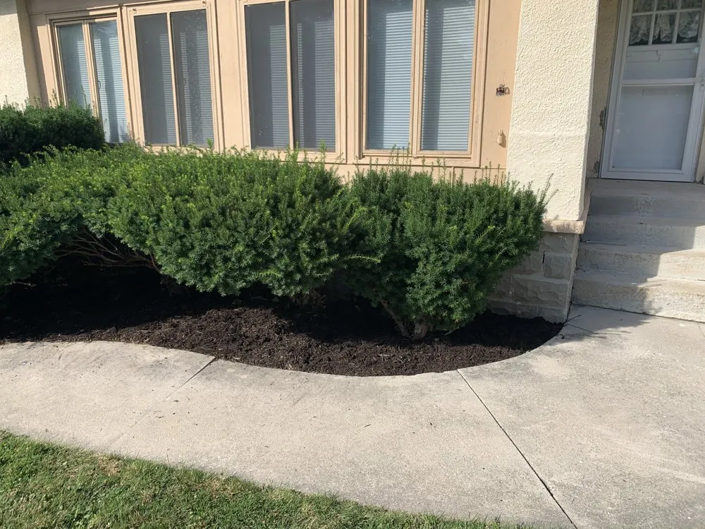 Reliable yard cleanup service near you across Tiffin, OH - Mersch’s Mowing