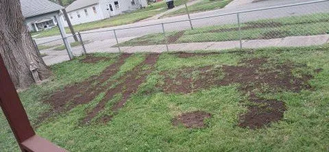 Top-rated yard maintenance experts serving Topeka, KS - Merten Home & Lawn Care