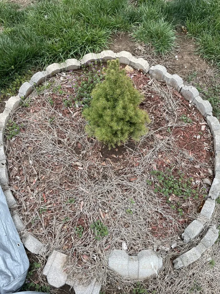 Custom lawn mowing service in Topeka, KS - Merten Home & Lawn Care